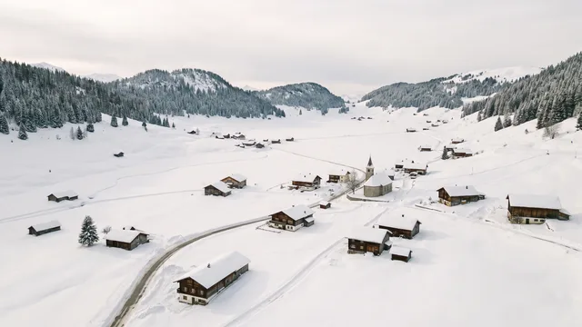 Morgins